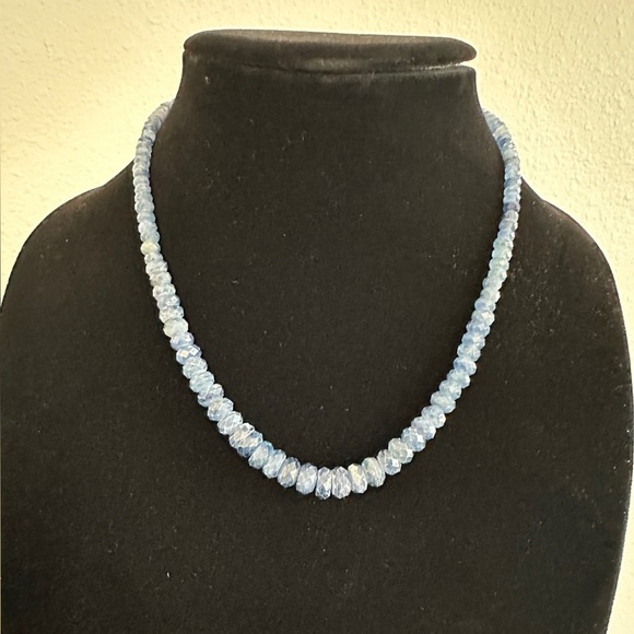 Jay King Blue Kyanite Necklace - Picture 2 of 8